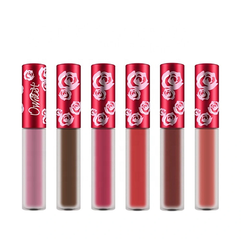 Wholesale New Launch Lip Gloss Private Label Long Lasting Cosmetics Organic Lipgloss Set